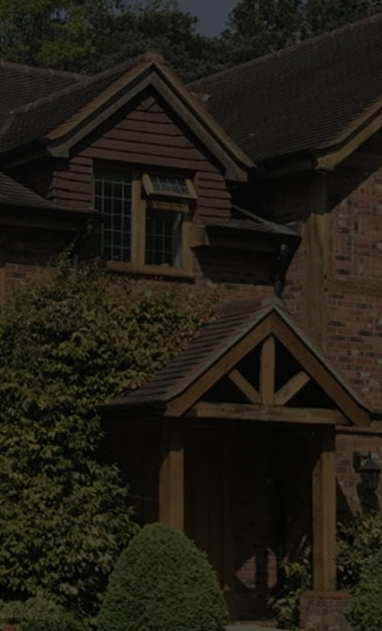 [company name]